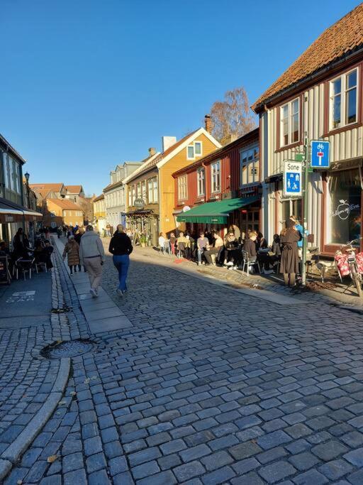 Hidden Gem Near The Old Town Bridge, 40M² Apt. Trondheim Ngoại thất bức ảnh